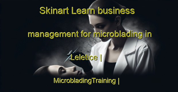 Skinart Learn business management for microblading in Leletice | MicrobladingTraining | MicrobladingClasses | SkinartTraining-Czech Republic